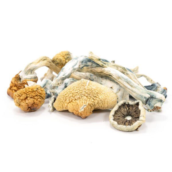Blue-Meanies-Mushrooms.jpg Blue Meanies Mushrooms - Image 1