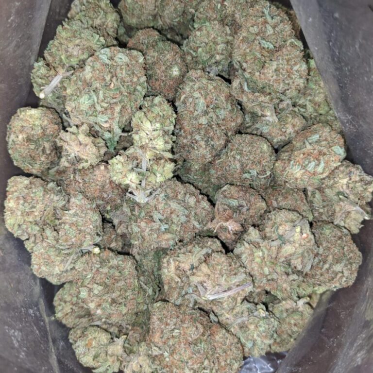 clementine-3-900x900-1-768x768-1.jpeg Packman Granddaddy Urkle