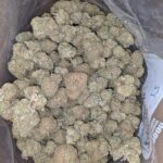 Packman Granddaddy Urkle - Image 2